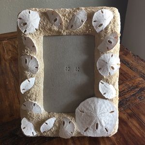 Sand dollar picture frame